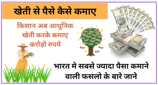 खेती से पैसे कैसे कमाए
